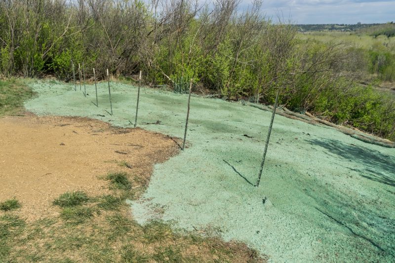Front Yard Hydroseeding