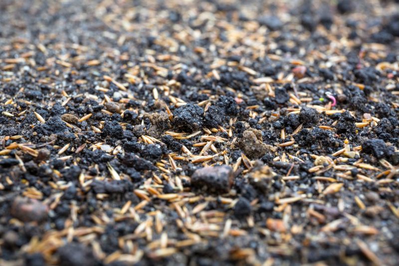 Commercial Lawn Seeding in Ventura County, CA