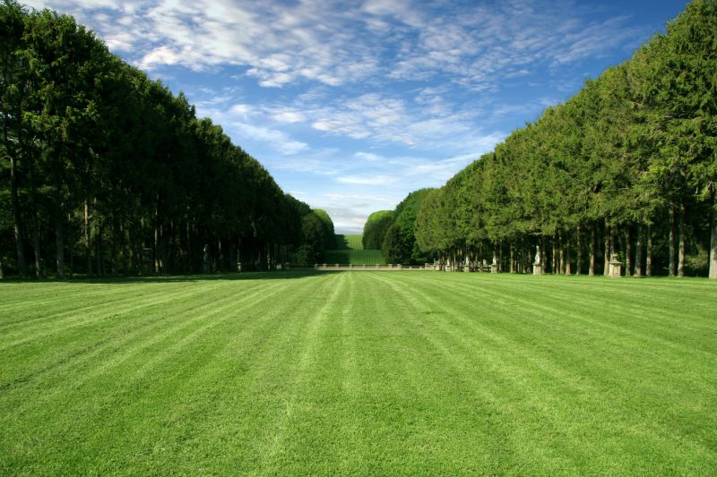 Front Yard Hydroseeding