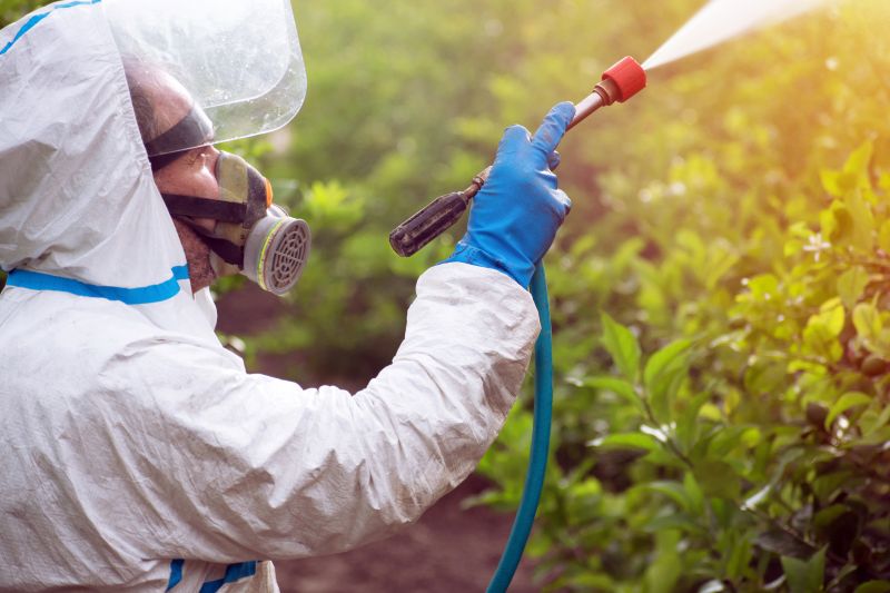 Lawn Weed Spraying in Honolulu, HI