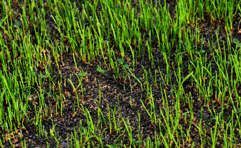 Follow-up Maintenance