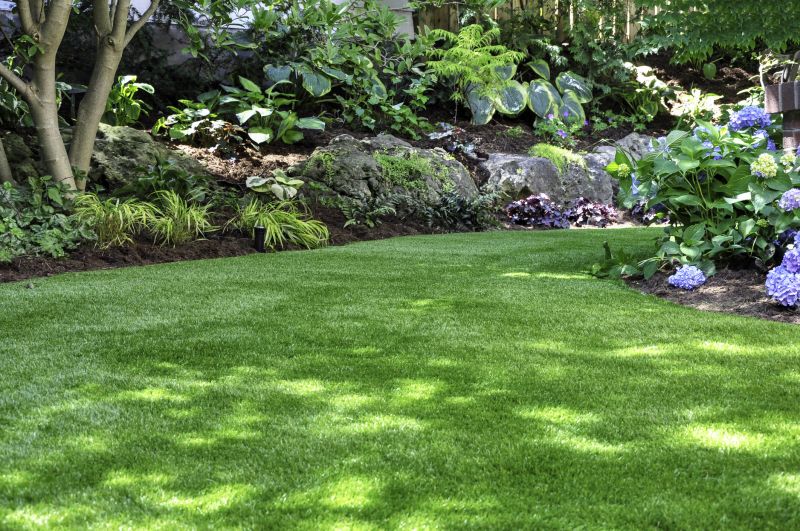 Healthy Green Lawn