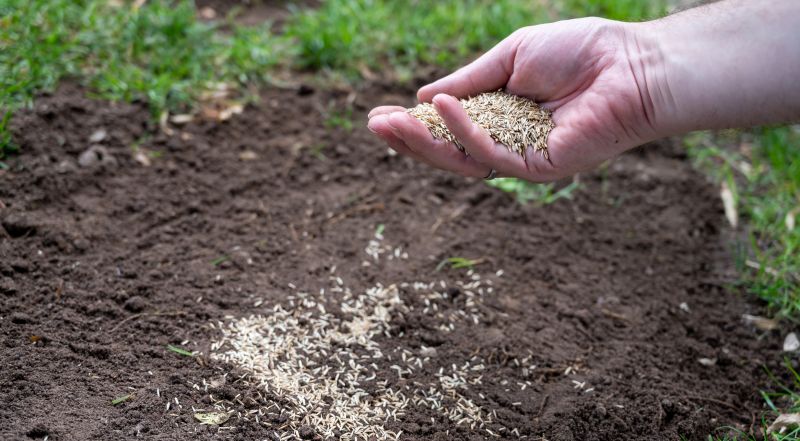Residential Lawn Seeding in Ventura County, CA