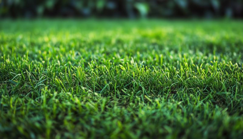 Turfing Service in Aiken, SC